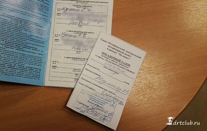 Собаку в самолет какие документы нужны. Перевозка животного в самолете документы.