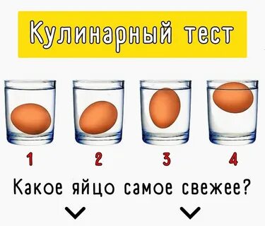Какое яйцо больше