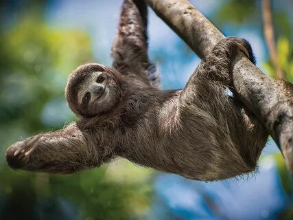 Артқы жағындағы бөрене киген сексуалды әйелдер