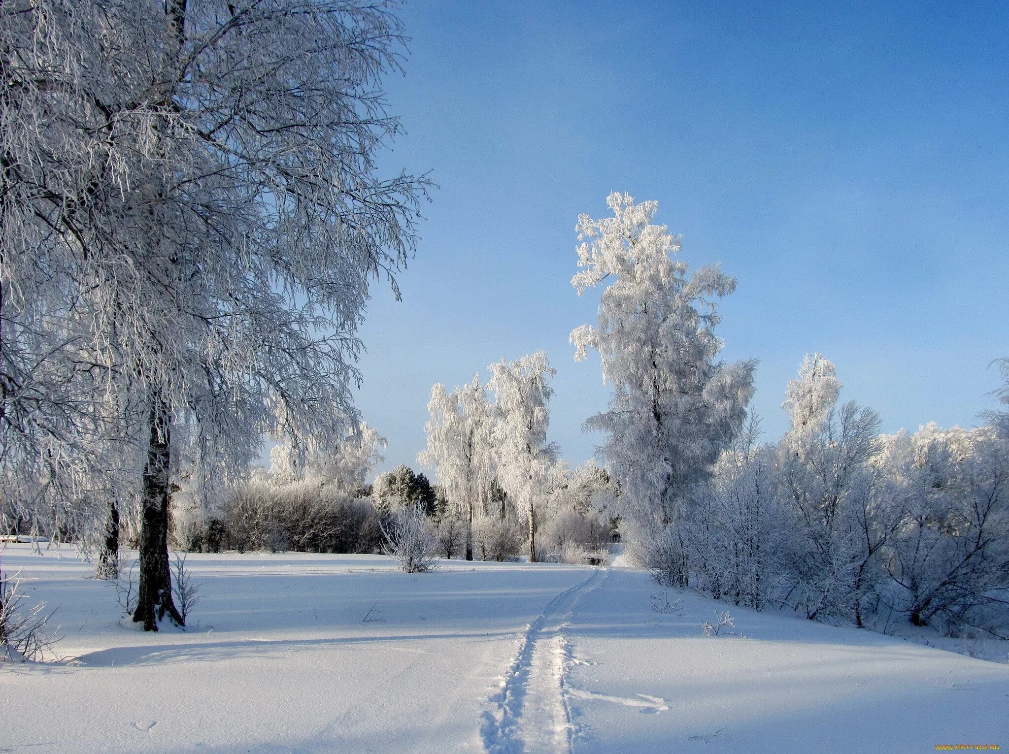 Зимний день ответы. Зима. Красивая зима. Зимний пейзаж. Красивая природа января.