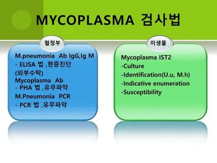 Mycoplasma pneumoniae igg