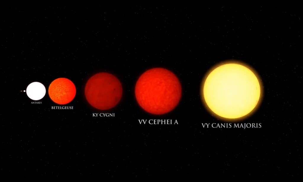 VV Цефея и Бетельгейзе. VV CEPHEI звезда размер. Canis Majoris звезда Бетельгейзе. VV Цефея и vy большого пса.