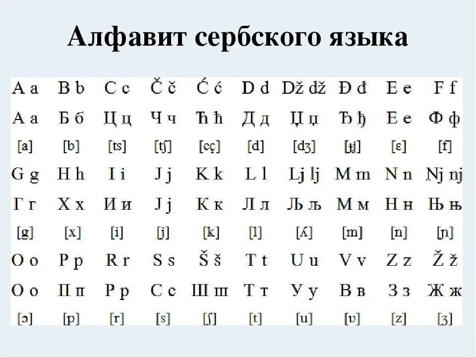 Алфавиты похожие на русский. Сербский алфавит. Сербский язык письменность. Сербский алфавит кириллица и латиница. Сербский алфавит вуковица.