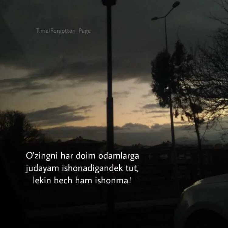 Light bright dark что за тема. Меланхоличные фразы. Цитаты про закат. Forgotten page. Forgotten page.