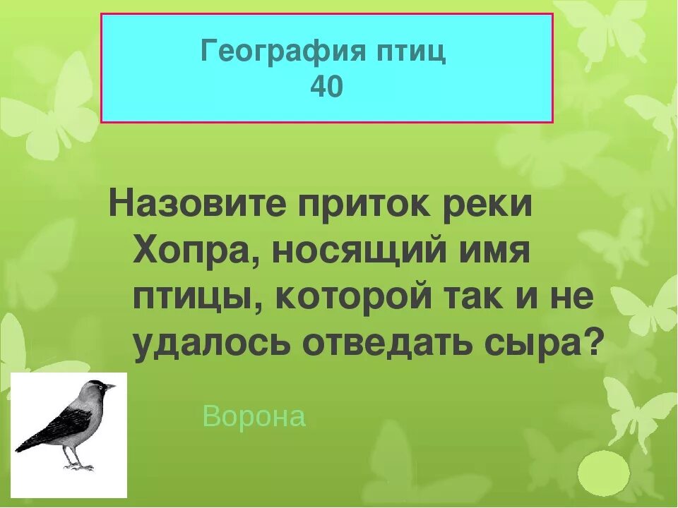 Имена для птиц мальчиков. Клички для птиц. имена птиц. красивые имена для птиц. имена для птиц девочек.