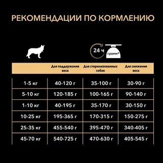 Вес сухого корма для собак