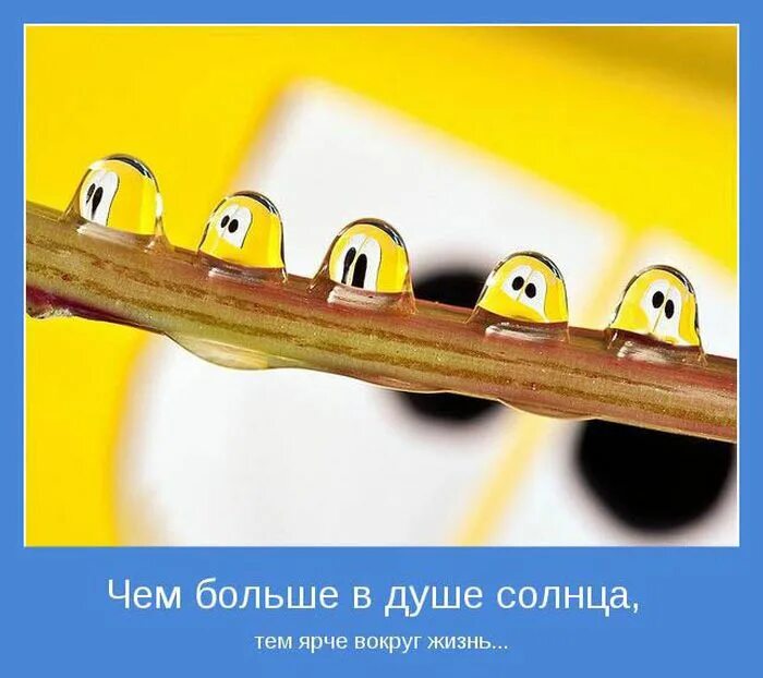 Мотиватор позитивного дня. Мотиваторы. открытки позитивные мотиваторы. психологические мотиваторы в картинках. позитивные мотивирующие картинки.