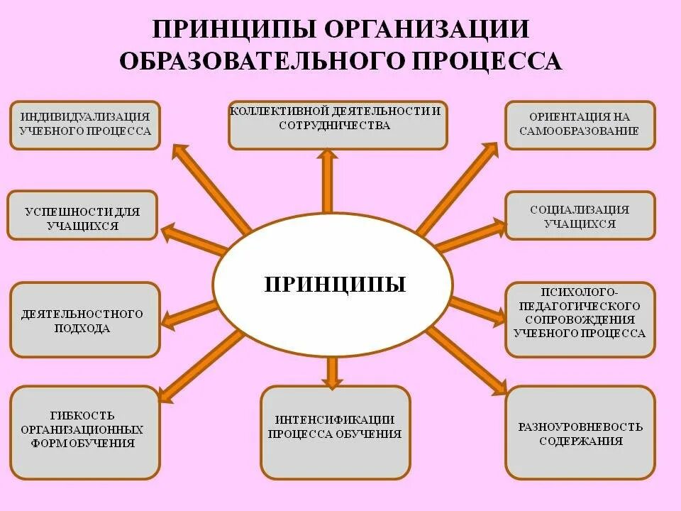 Принципы организации учебного процесса в школе. Принципы организации педагогического процесса. Принципы организации образовательного процесса. Принципы воспитательных технологий в образовании. Являлось одной из эффективных форм