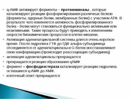 Протеинкиназа класс
