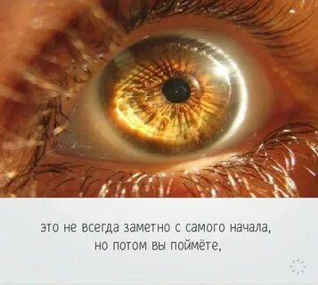 Глаза цвета солнца