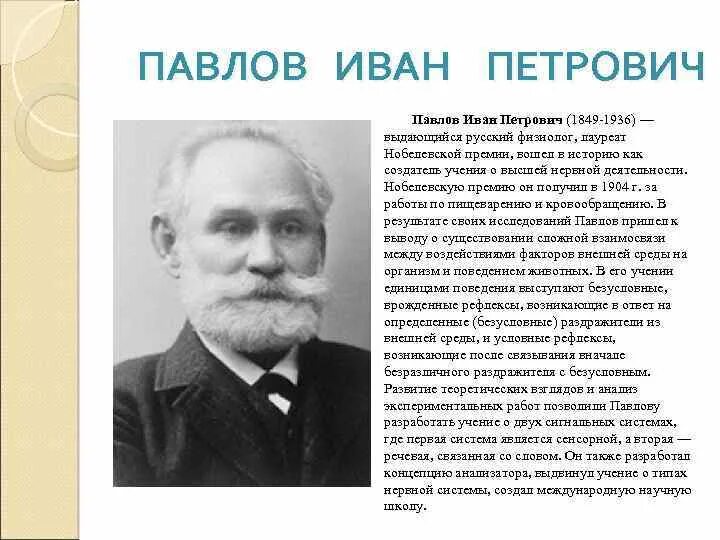 Создатель учения о высшей нервной деятельности. Создатель учения о высшей нервной деятельности