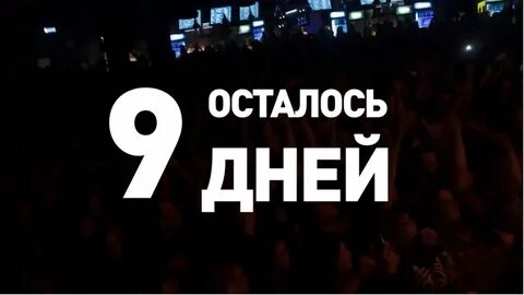 9 ноября 2024