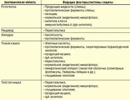 Ферменты толстого кишечника