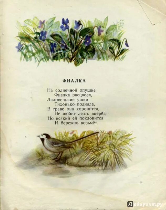 Стихотворение е серова. Стихи Серова. Детские стихи Серова. Стихи Серовой о цветах.