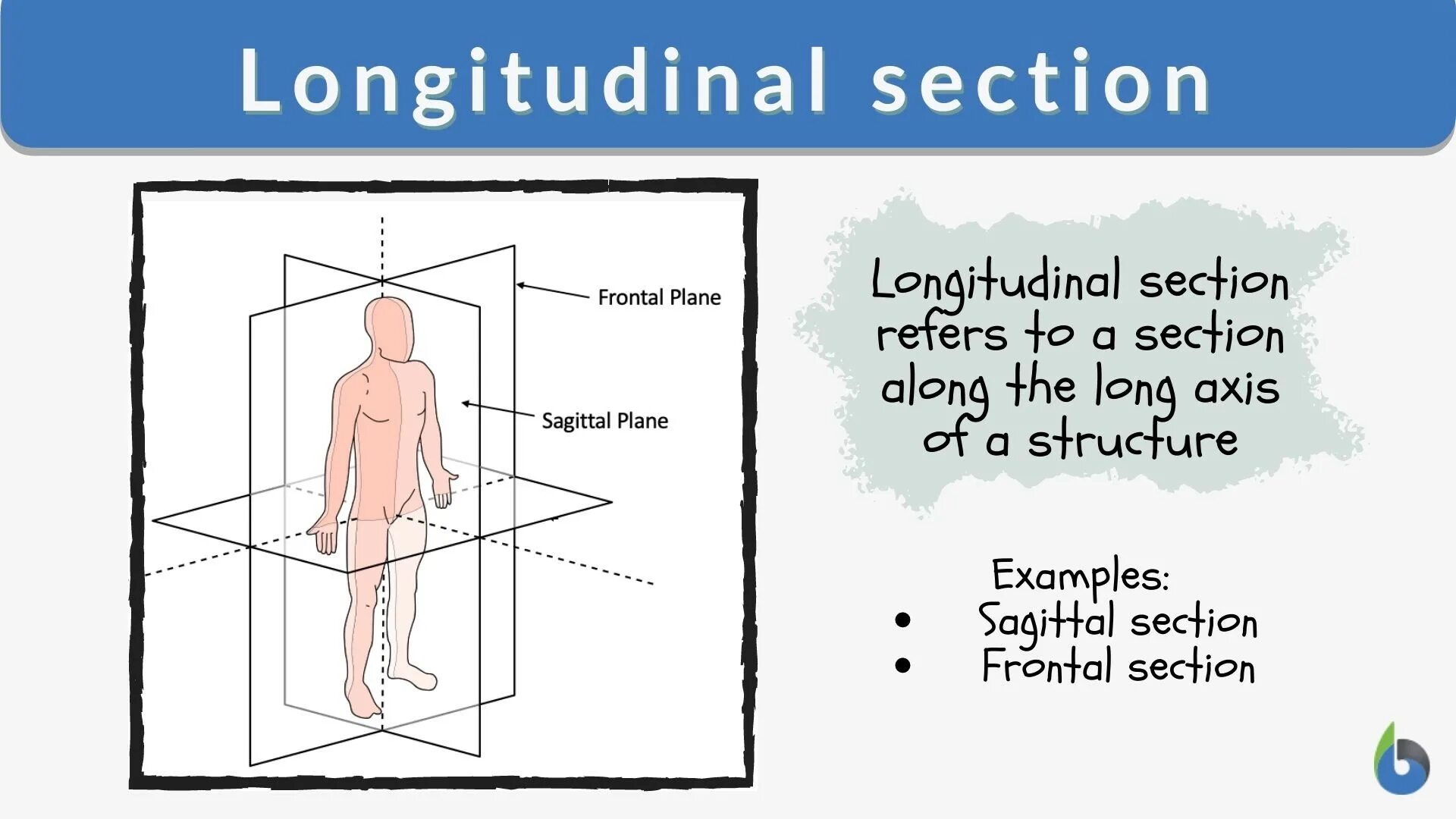 Drawing cross section. Section definition. Section definition. Rational numbers. Radar cross section.
