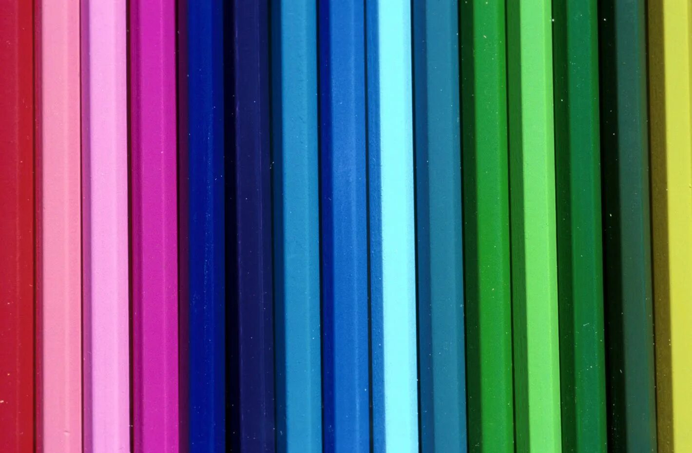 Английская буква n задания. Разноцветные птицы. Английская буква n раскраска. Английская буква n раскраска. Радужные цветы.