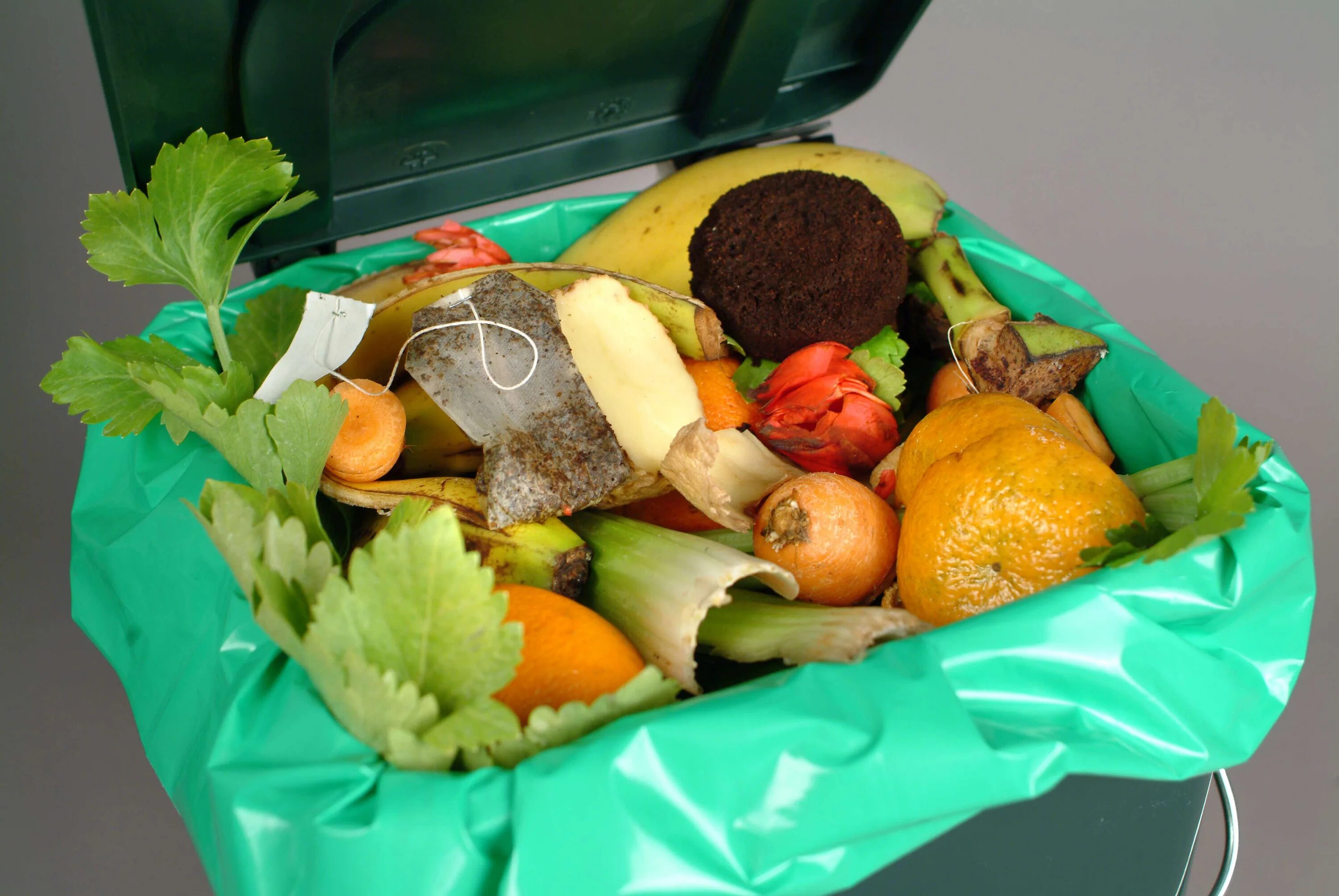 Пищевые отходы кухонь. Пищевые отходы. Пищевые и растительные отходы. Утилизация пищевых отходов. Пищевые органические отходы.