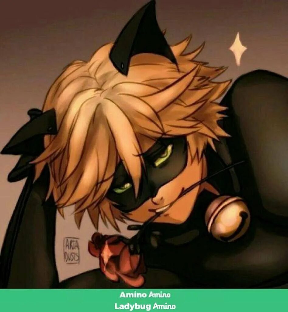 Леди баг и супер кот леди нуар. Кот нуар куронеко. Кот нуар хорни. Леди баг и супер код. Хорни кот нуар.