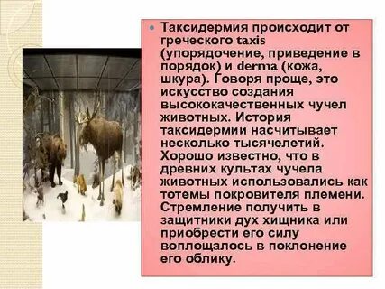 Животная основа