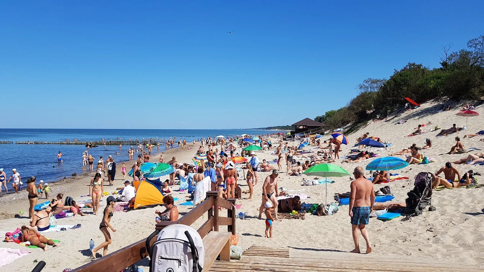 варна пляж золотые пески. август г отдых. бургас золотые пески. август г отдых.