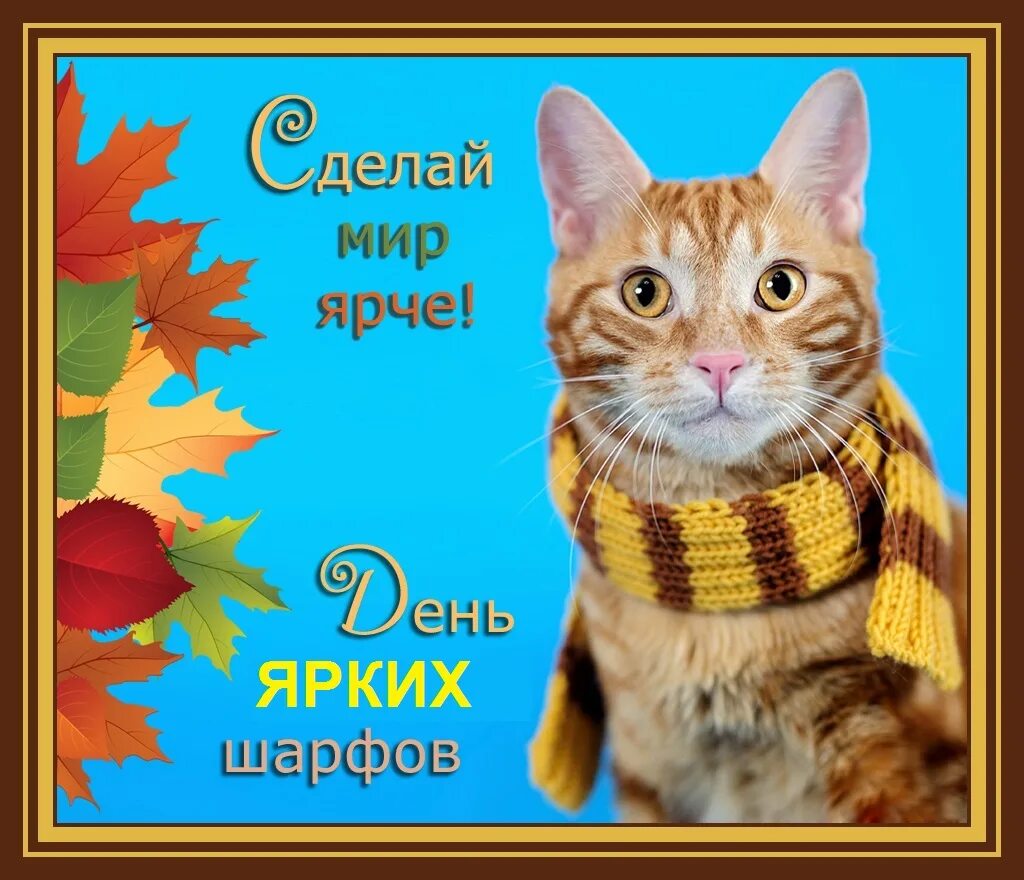 день длинных пестрых шарфов. полосатый шарф. шарф змея. день длинных шарфов. разноцветный шарф крючком.