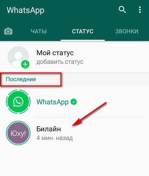 Что значит изменен статус в ватсапе. Статус в ватсапе. Мой статус в ватсапе. Как добавить статус в ватсап. Обновление статуса ватсап.