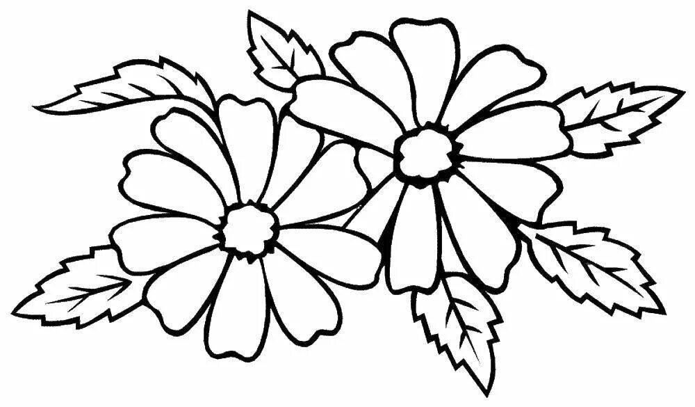 Раскраски контуры распечатать. Цветы для распечатывания. Черно белые цветочки для детей. Контур цветка для раскрашивания. Контуры цветов для распечатки.