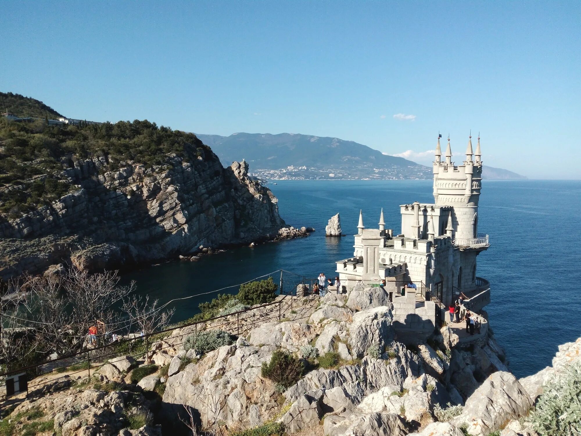 Swallows nest