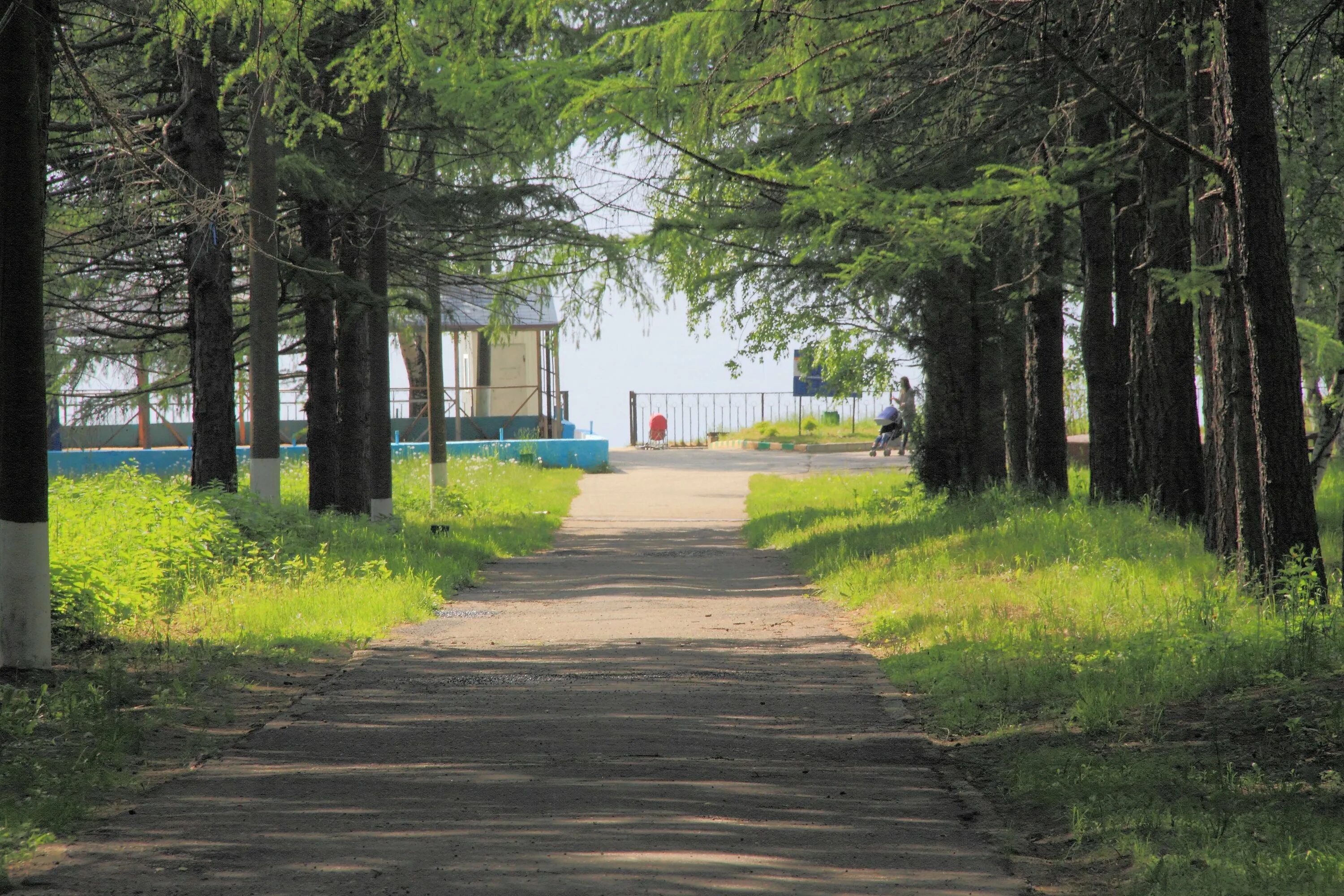 Погода в буревестнике городецкого. Буревестник Горьковское море. Пансионат Буревестник Нижегородская область. Пансионат Буревестник Городецкий район. Пансионат Буревестник Горьковское море.