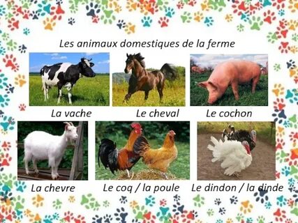 Les animaux