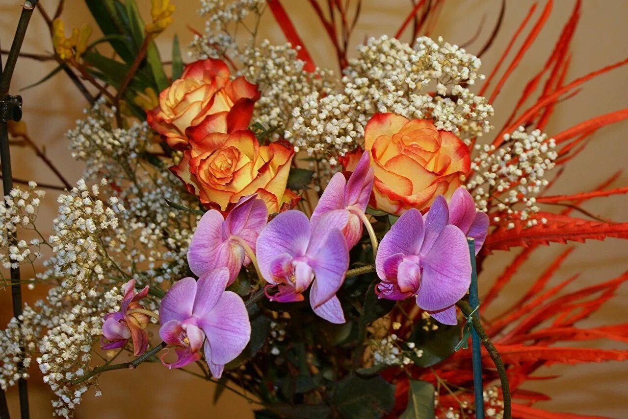 Орхидея живая цветок. Букет гипсофила и Орхидея. Букет с орхидеей. Букет экзотических цветов. Шикарный экзотический букет.