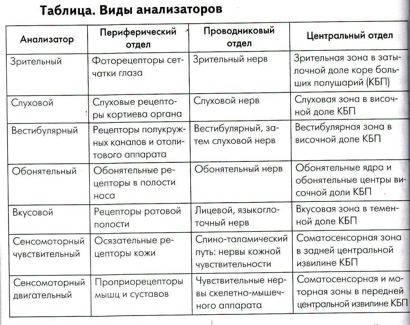 Функционирующая таблица. Строение и функции анализаторов таблица. Таблица характеристика анализаторов рецепторы. Таблица анализаторы орган Рецептор. Кожный анализатор таблица.