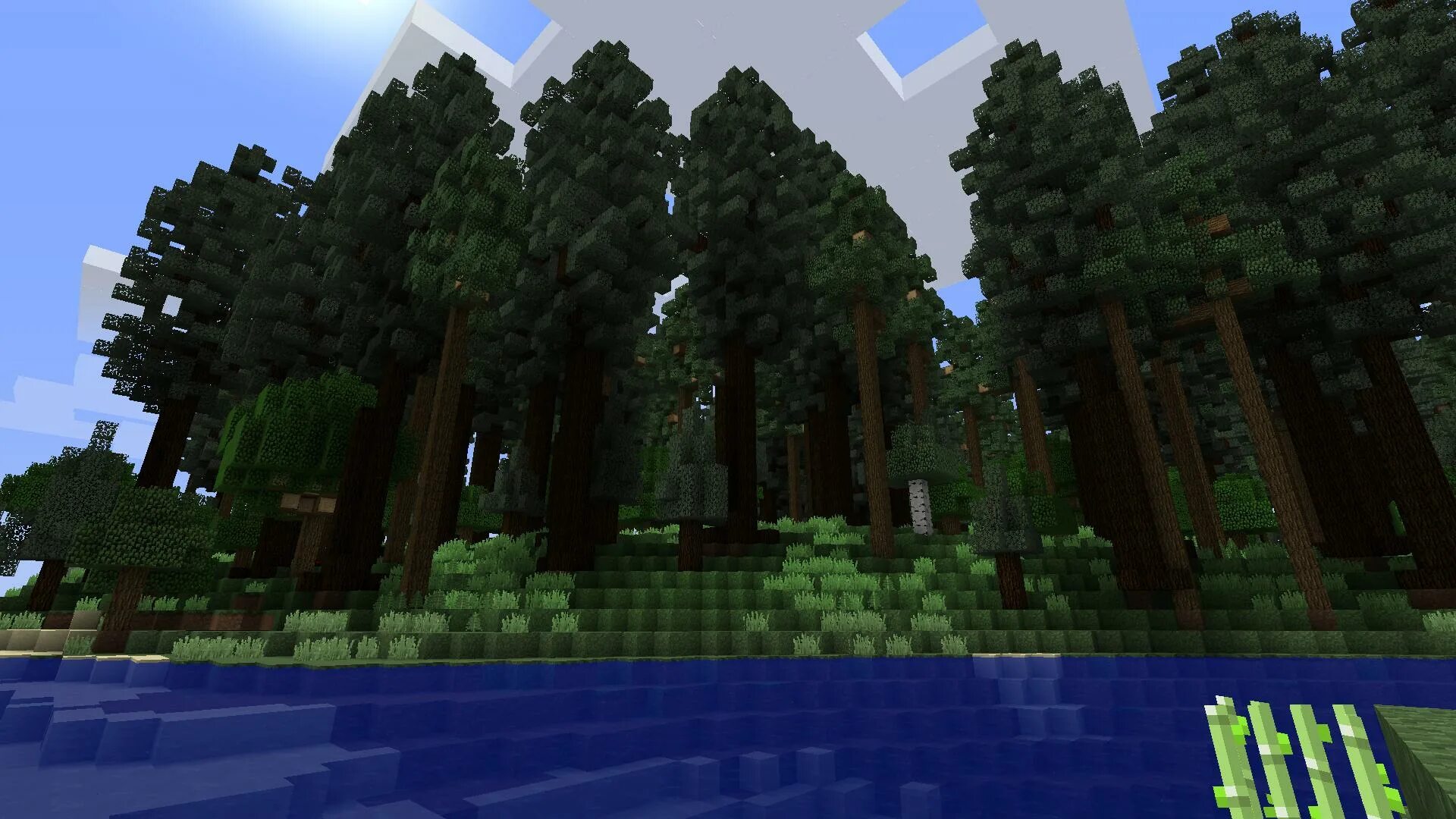 Forest map minecraft. River biome minecraft. секвойный лес майнкрафт. леса в майнкрафте. лес в майнкрафте постройка.