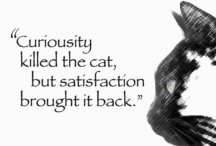 Bring satisfaction