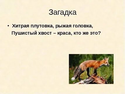 Плутовка это для детей 1 класс