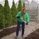 Май посадки
