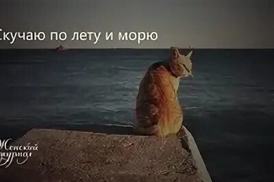Будете скучать по лету