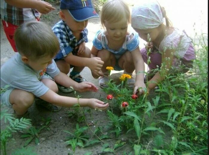 Труд в природе в средней группе конспект. Летняя прогулка в детском саду. Ознакомление детей с природой. Прогулки дошкольников летом. Наблюдения летом в ДОУ.