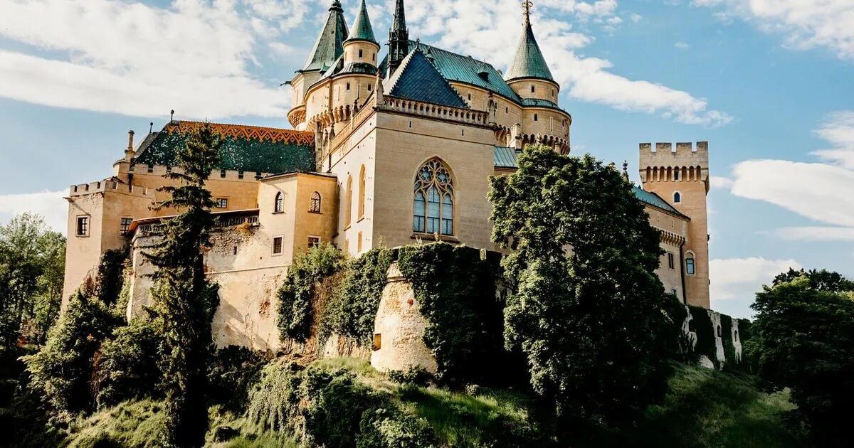 А что такое замок. Мукачево замок. замок стенхаммар. замок паланок в мукачево. замок гродзец польша.