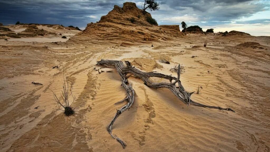Засушливые области австралии. Засуха в Австралии 1829. Засушливая Австралия. Засуха сейчас в Австралии. Австралия многовековая засуха.