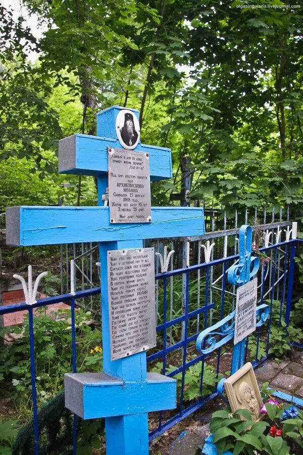 Найти могилу ульяновск. Найти могилу ульяновск. Покровский некрополь ульяновск. Покровский некрополь ульяновск зимой. Ульяновск старинное кладбище.