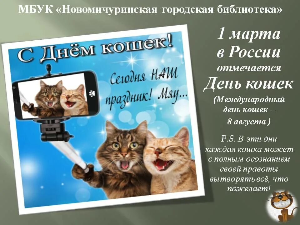 День кошек в России. Всемирный день кошек 8 августа.