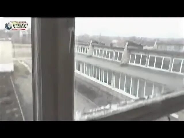 Абакумова старомихайловка бирюзова телеграм