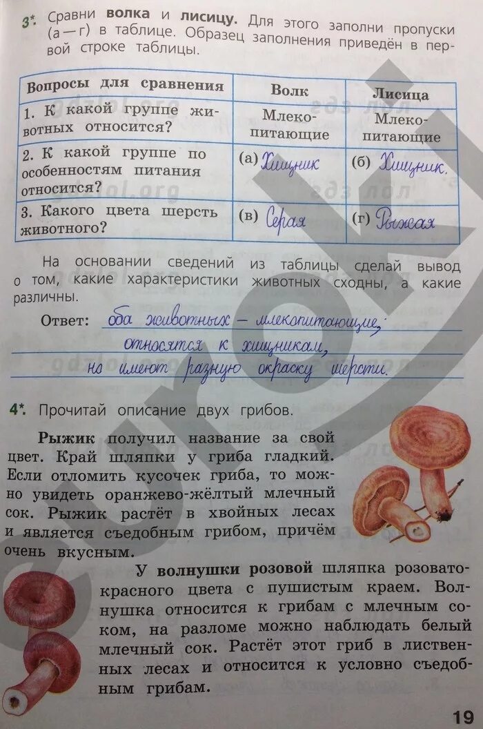 Ответы впр по окружающему 4 класс 2024. ВПР по окружающему задания. Тетради по ВПР окружающей мир 4 класс. ВПР по 4 класс окружающий.