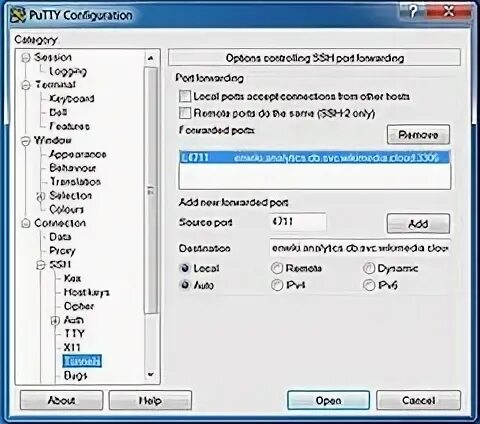 Putty туннель. Putty туннель