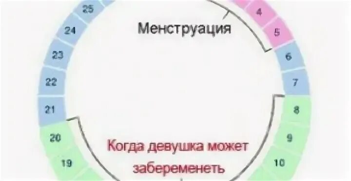 Можно забеременеть перед месячными за 5. Шансы забеременеть. Высокая вероятность забеременеть. Низкая вероятность забеременеть. Шанс зачатия после месячных.