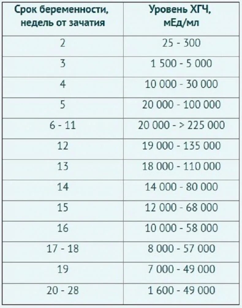 Повышена хгч при беременности