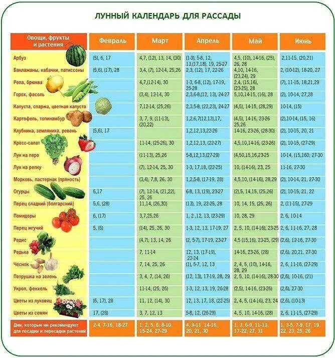 Какого числа сажать огурцы на рассаду. Сроки высадки семян томатов на рассаду. Когда садить семена на рассаду таблица. Какое время нужно сажать семена для рассады. Какого числа лучше сеять помидоры на рассаду.