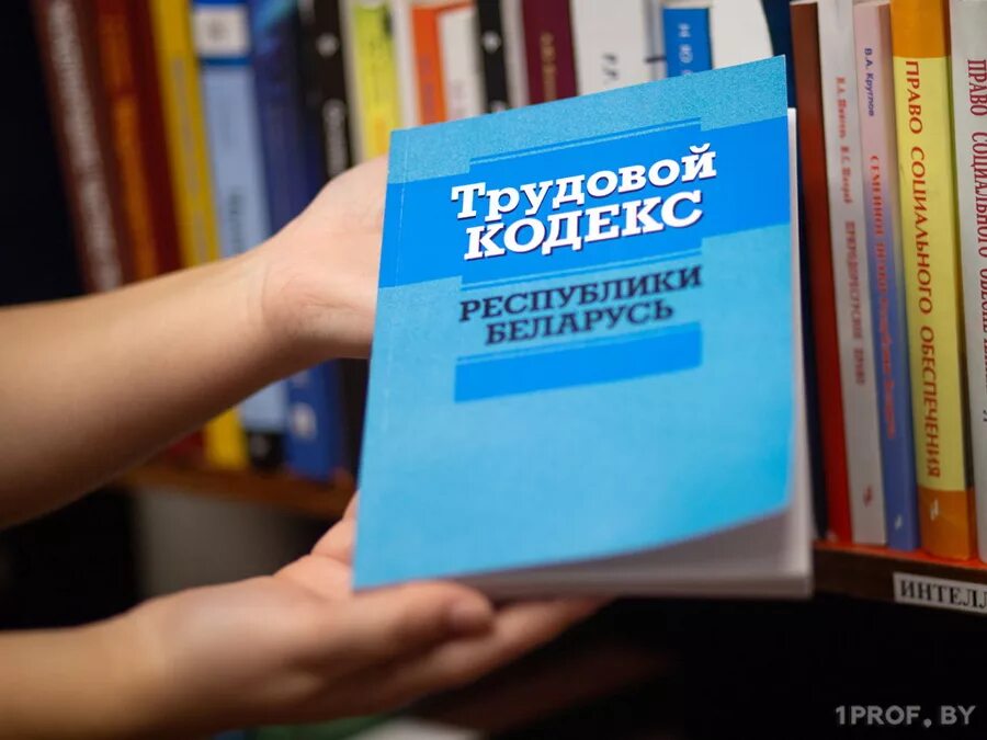 Трудовой кодекс. Трудовой кодекс Беларуси. ТК Беларусь. Трудовой договор.