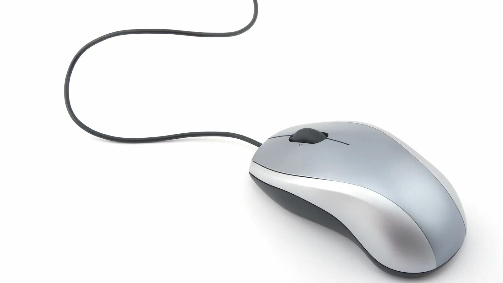 Мышь control. Мышь d-Computer mo-105 White PS/2. Компьютерная мышь с проводом. Мышь и компьютерная мышь. Белая компьютерная мышь с проводом.